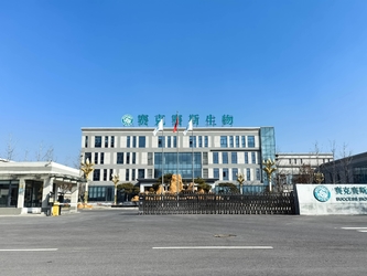 Shandong Saikesaisi Hydrogen Energy Co., Ltd lini produksi pabrikan