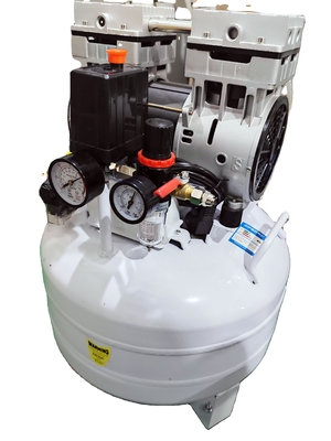 Beli QL-40 White Lab Air Generator Dengan 40LPM 26KG Untuk Laboratorium pembuatan online